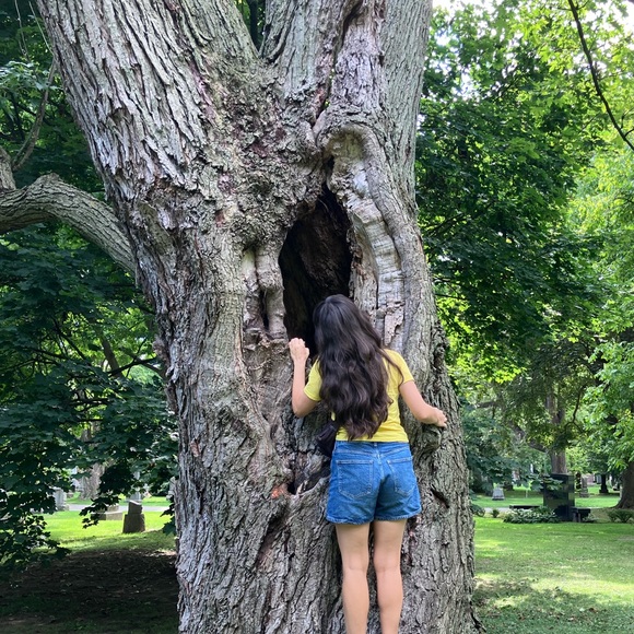 Meet your Posher, Hoolie - Picture 1 of 1